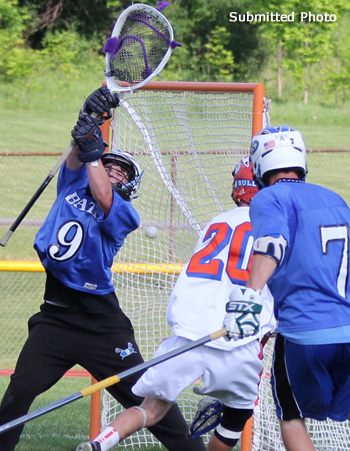 Haverling at Livonia