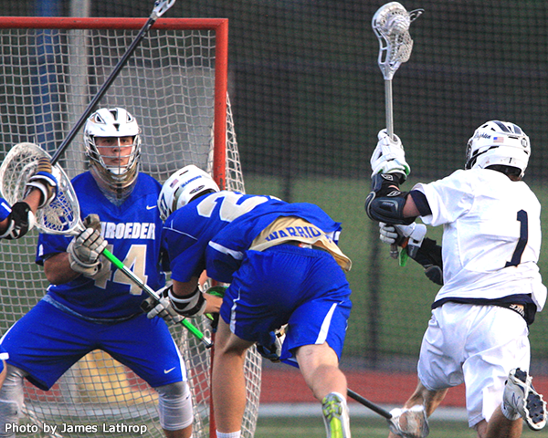 Schroeder at Brighton