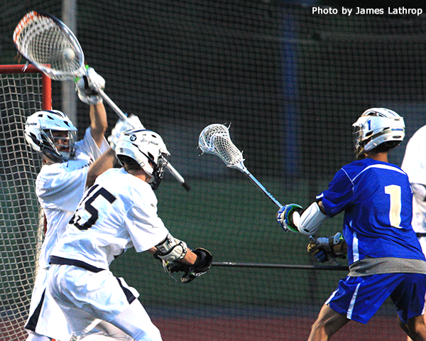 Schroeder at Brighton