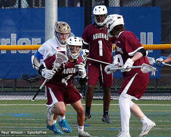 Aquinas at Schroeder