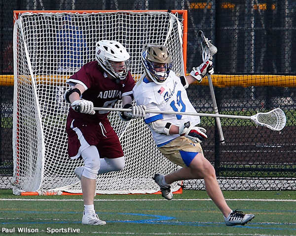 Aquinas at Schroeder